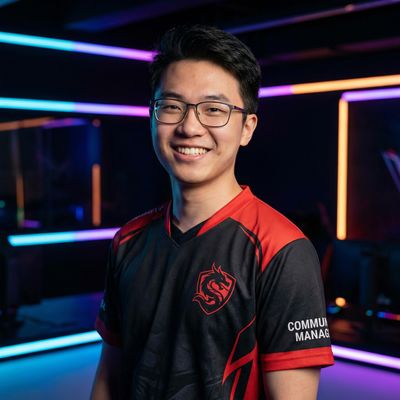 海角网游戏顾问